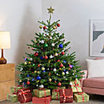 Fresh Xmas Tree with Decoration