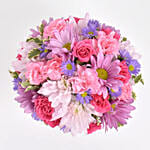 مج ورود جربيرا ليوم المعلم