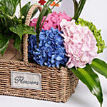 هدايا الجد والجدة | سلة ورود و نباتات