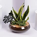 Green Harmony Glass Garden Father Day Edition