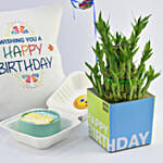 Happy Birthday Lunchbox Chocolate Cake Perfect Combo