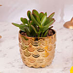 Happy Diwali Blessing Plant