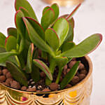 Happy Diwali Blessing Plant