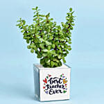 هدايا يوم المعلم | نبات الجاد