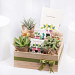 صينية هدايا مفاجآت عيد ميلاد