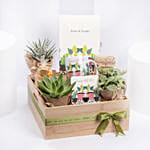 صينية هدايا مفاجآت عيد ميلاد