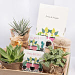 صينية هدايا مفاجآت عيد ميلاد