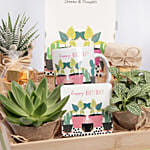 صينية هدايا مفاجآت عيد ميلاد