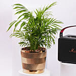 KILBURN III BLACK AND BRASS