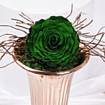 مزهرية وردة خضراء