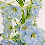 عطر ماجيكال بلوز والزهور