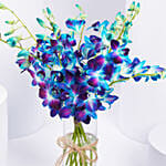 فاتنة | مزهرية أوركيد أزرق ملكي