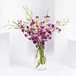 مزهرية اوركيد ارجواني ساحر