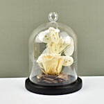 وردة أبدية بلون خوخي