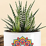 Personlized Haworthia Plant