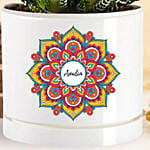 Personlized Haworthia Plant