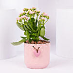 Pink Kalanchoe In Love You Mom Pot