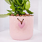 Pink Kalanchoe In Love You Mom Pot