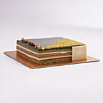 كيكة الفستق الساحرة 4 حصص