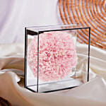 Preserved Carnation in Mirror Box