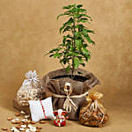 Rakhi Blessings For Brother