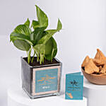 Rakhi Combo for Nature and Food Lover Bhai