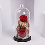 ورد احمر دائم