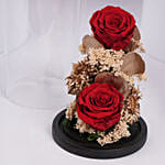 ورد احمر دائم