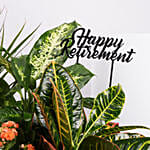 أصيص أمنيات التقاعد