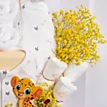 Safari Sunshine Baby Bundle