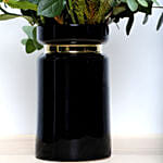 Senorita Roses in a Vase