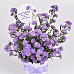 باقة ورود أقحوان أستر لون موف في بوكس أبيض مع ببيونة