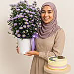 كومبو كيك مع باقة ورود أقحوان أستر لون موف في بوكس أبيض