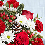 فازة ورد فرحة الشتاء