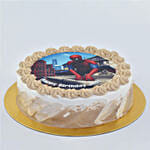Spiderman Birthday Marble Cake 8 Portion