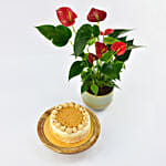 Sugar Free Butterscotch Cake with Plants