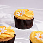 Sunny Daisy Red Velvet Delights Cup Cake