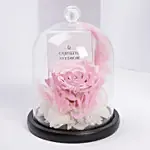 طقم كارولين سفيدبوم سواروفسكي مع ورده أبدية