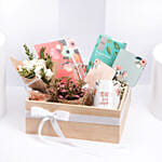 Teacher'S Essentials Gift Hampers