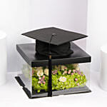 The Graduate Green Glory