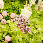 The Graduate Green Glory