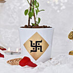 Tulsi Plant With Laxmi Ganesha Idol