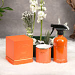 باقة ورد مع شمعة و معطر غرفة والاس آند كو