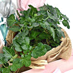 Wellness Challenge Hamper