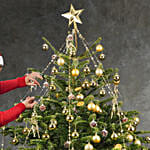Golden Glow Christmas Tree 8 To 9 Feet