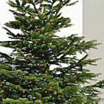 Twinkling Led Christmas Tree 5 To 6 Ft