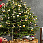 7 to 8 Fresh Christmas Tree With Golden Decoration