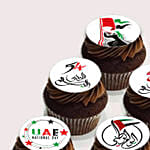 كب كيك اليوم الوطني الإماراتي