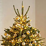 Golden Glow Tree 4 To 5 Feet