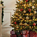 Royal Radiance Christmas Tree 4 To 5 Feet